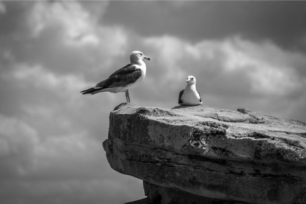 Marco Keller Photography