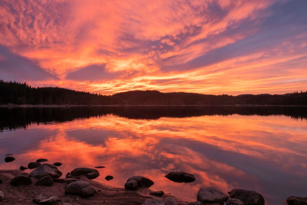 ветлана Михалкова