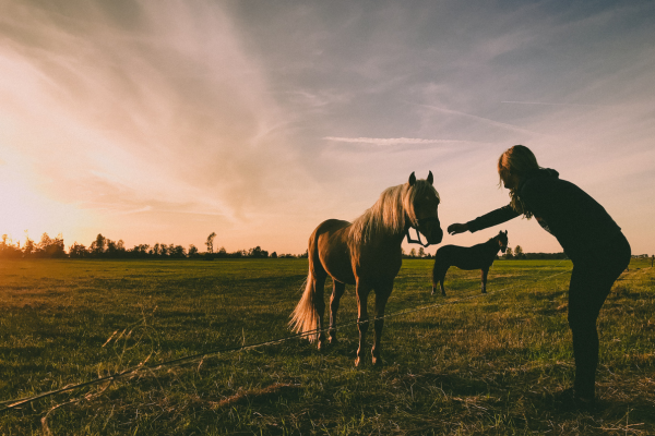 Karen Thorburn Photography